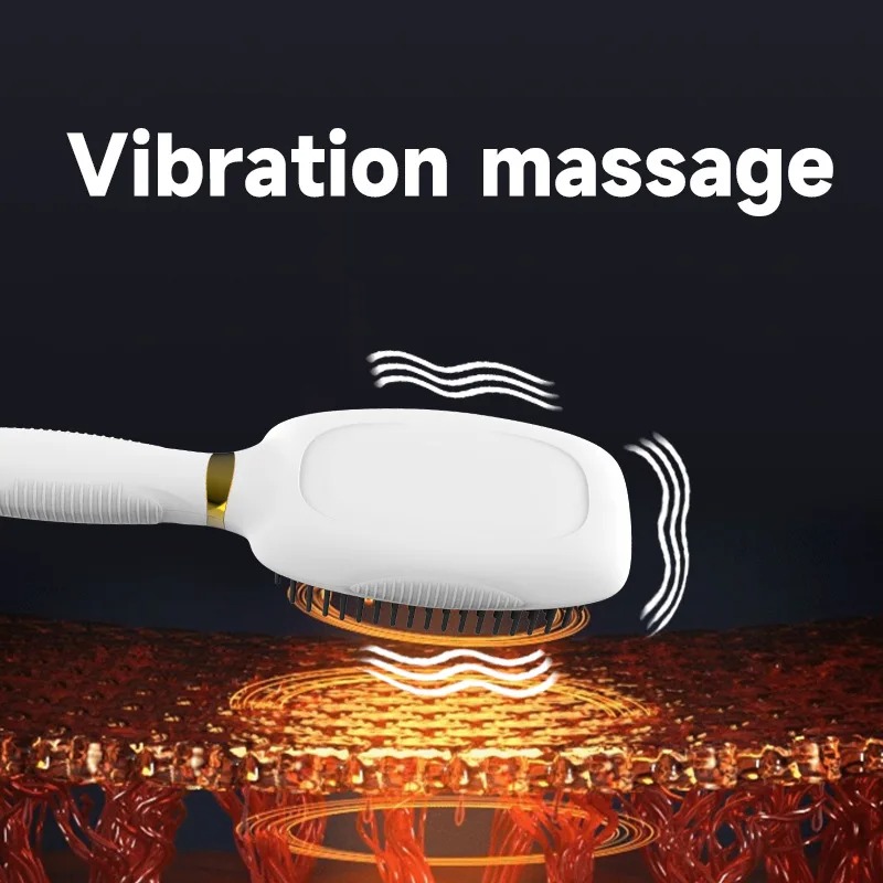 Electric Anti static Hair Comb - Hair Care For Hair Growth 评论和价格